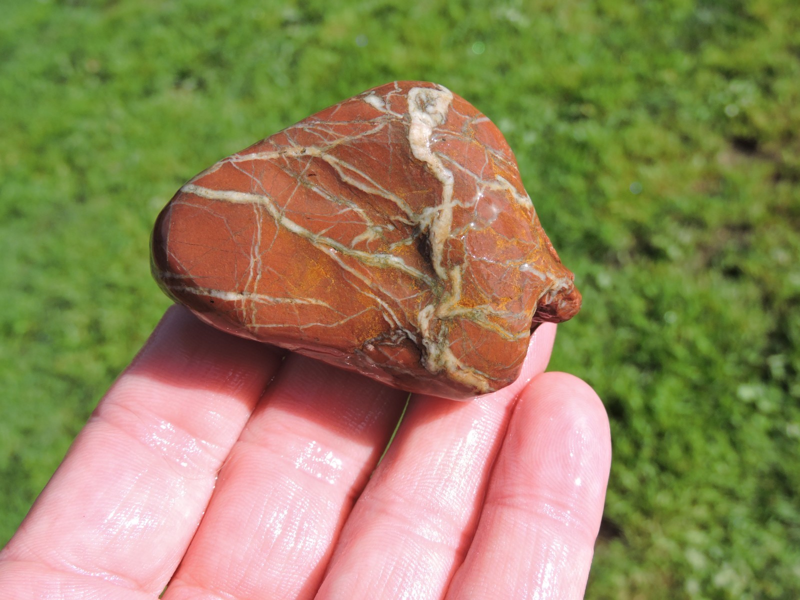 Lot of 🌈 Tumbler Size RAINBOW MIXED STONES from PNW (11.5 lbs) WEST COAST ROCKS