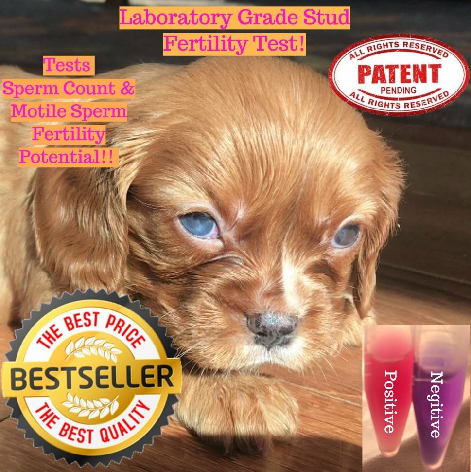 1 Canine Stud Dog 🔥Fertility Test StudCount- Ovulation testing @ Home🌺