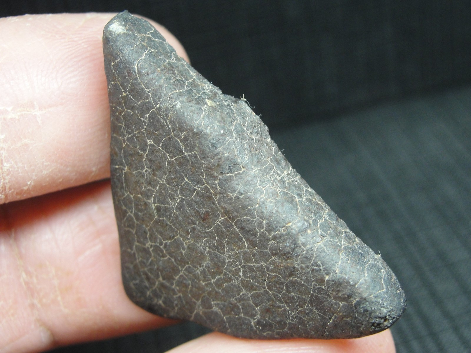 Ghadamis - HAH-346 - Libya 2019 - GAD-0384 - 13.49g - COA - Fusion Crust End Cut