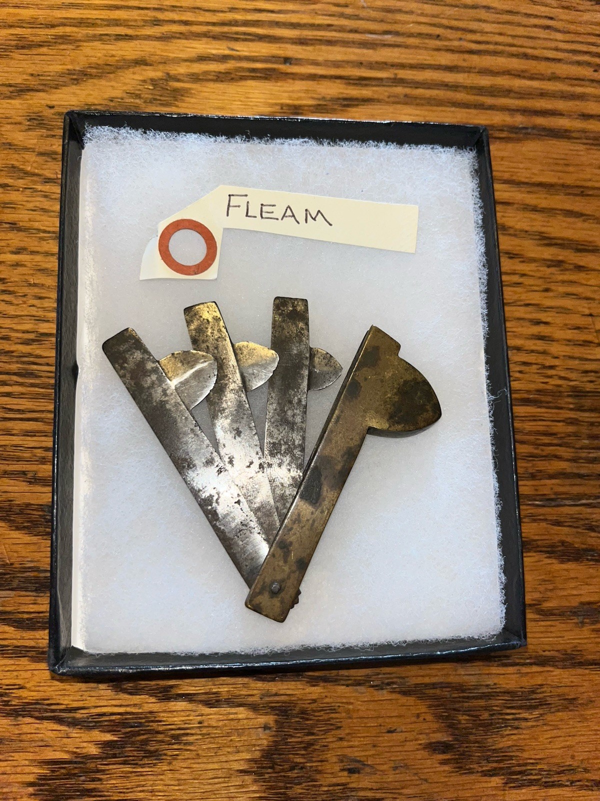 Antique 3 Blade Bloodletting Fleam In Display Box, Glass Top