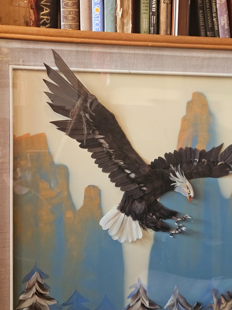 Multi Media 3D Bald Eagle in Flight Shadow Box Framed 37" x 33"