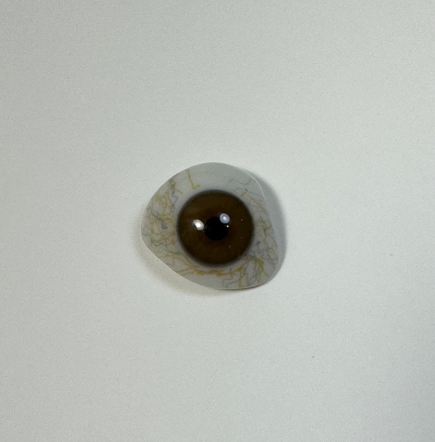 Antique German hand-blown human prosthetic glass eye. Bloodshot eye. Brown.