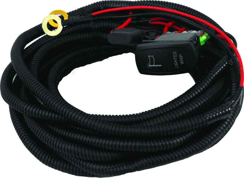 DragonFire Racing Whip Harness - 2 Seat- Dual