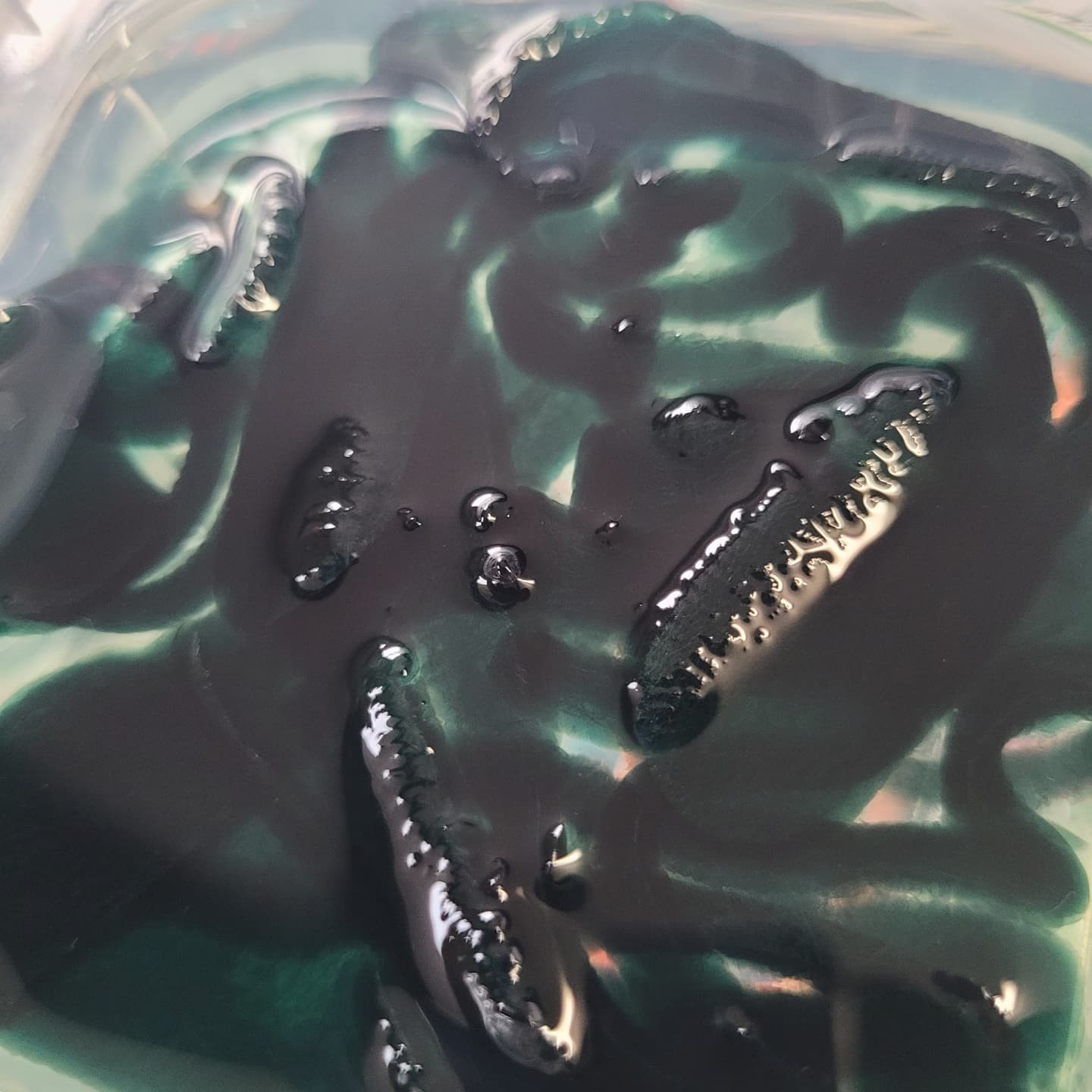 Bestbait Bio Frogs 3 Pack Looks and Fishes like real frogs