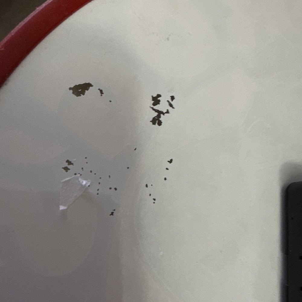 Senior Frog Analog Clock Not Working