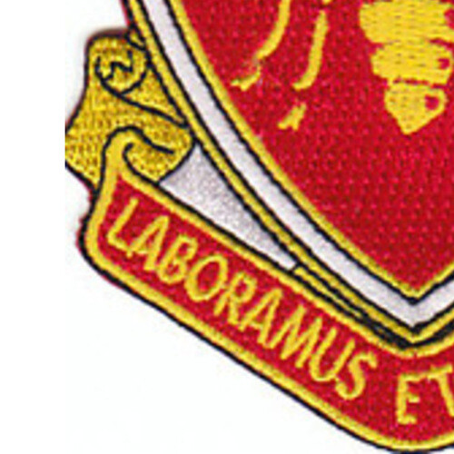 439th Engineering Battalion Patch