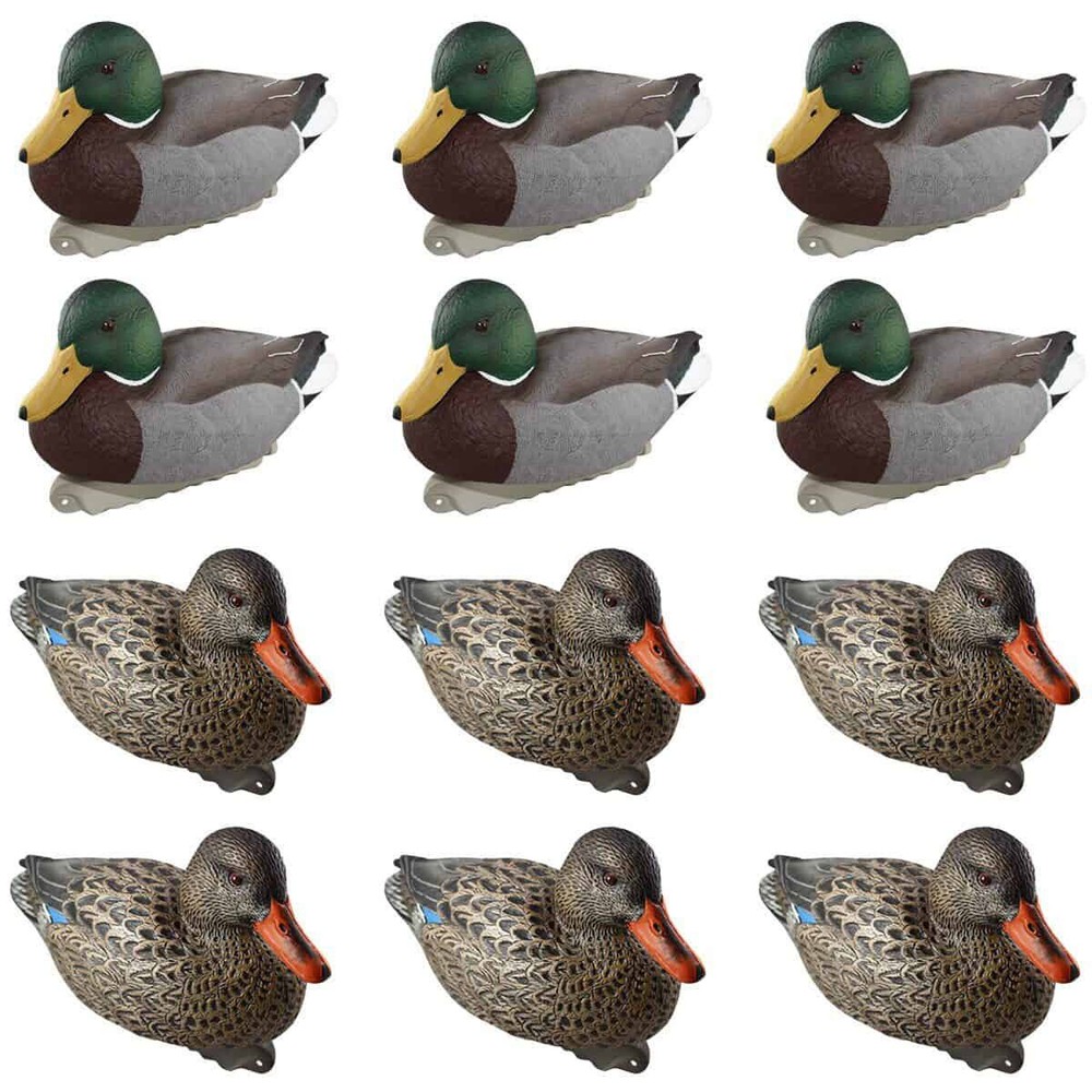 Cupped Waterfowl Finishing Mallards