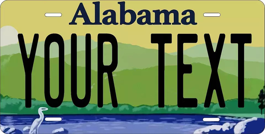 State License Plate Personalized With Your Text Car Novelty Plate Custom 200+