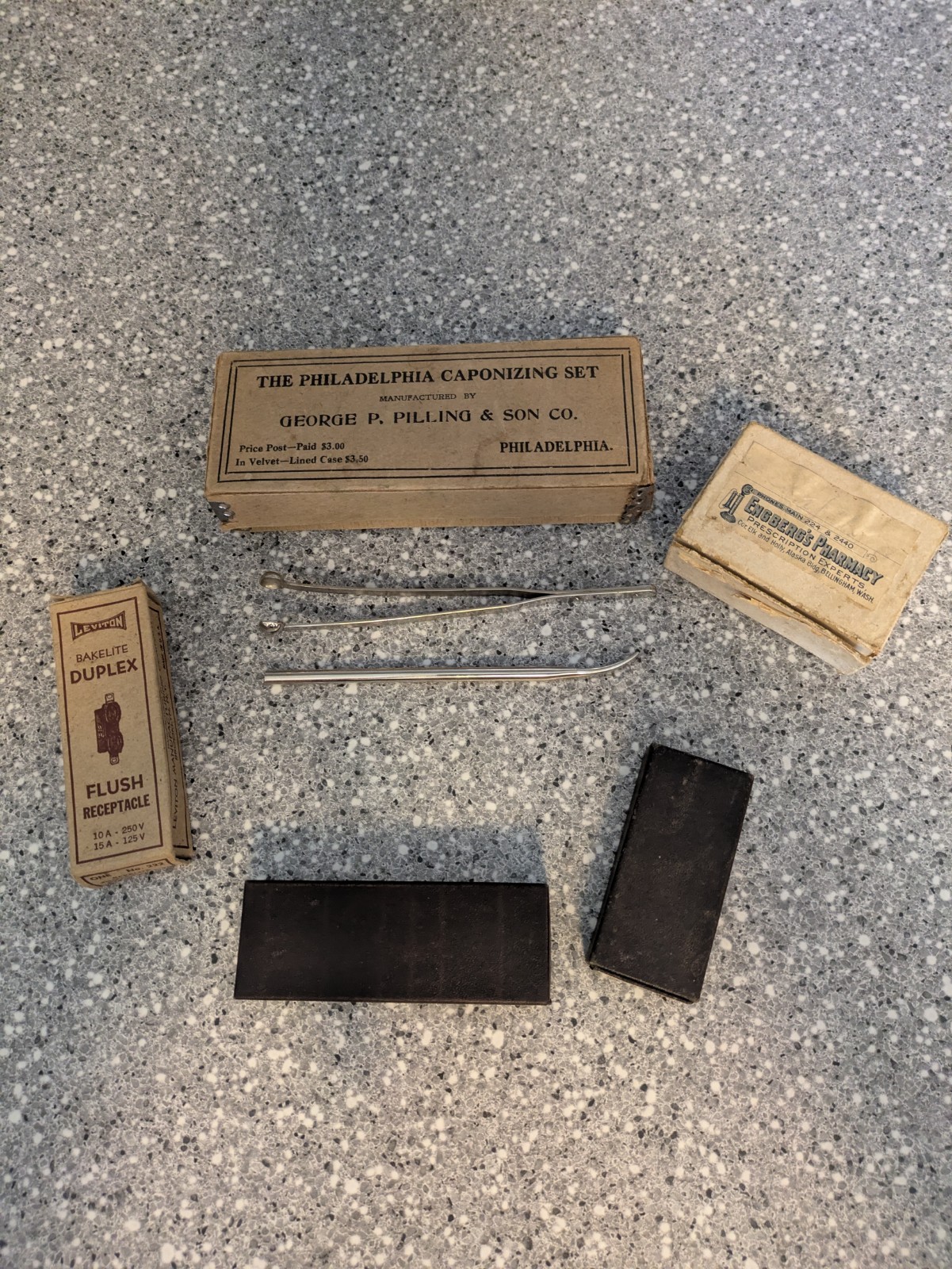 Vintage Lot of Taxidermy Instruments/Tools or Medical Tools