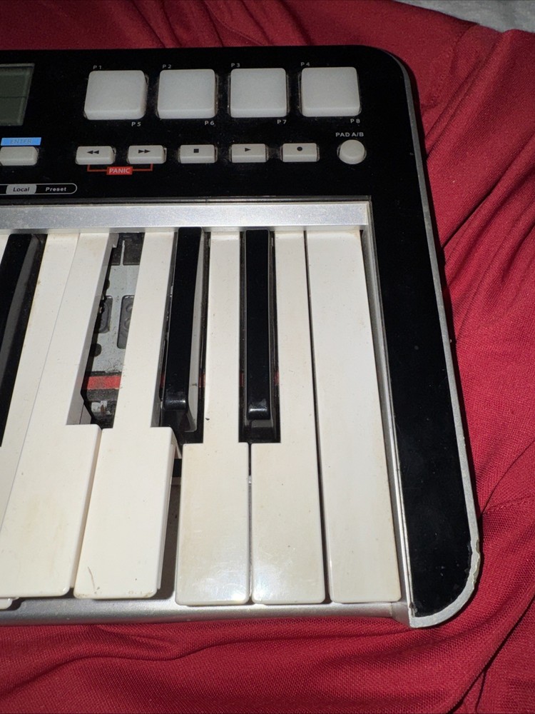 SAMSON GRAPHITE 25 (USB MIDI CONTROLLER KEYBOARD) (UNTESTED)