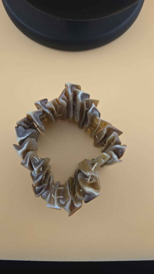 Bulgarian Abalone Seashell elastic bracelet
