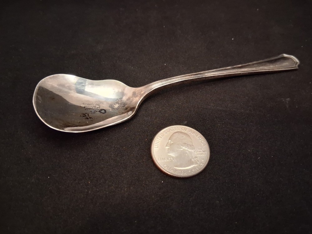 VintageOneida Silversmiths Sugar Nut Spoon Silverplate