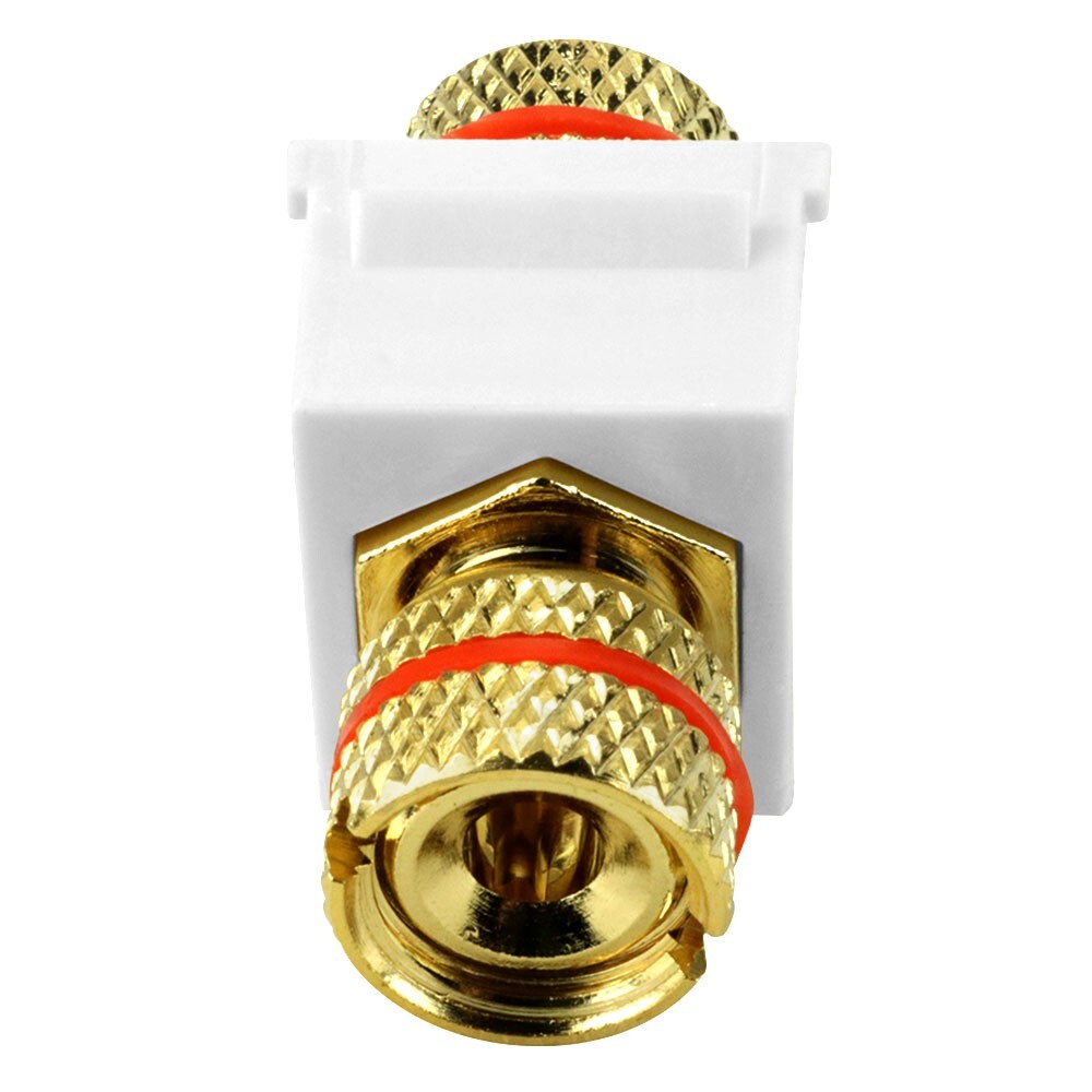 Construct Pro™ Gold-Plated Speaker Binding Post Insert (White, Red Band)