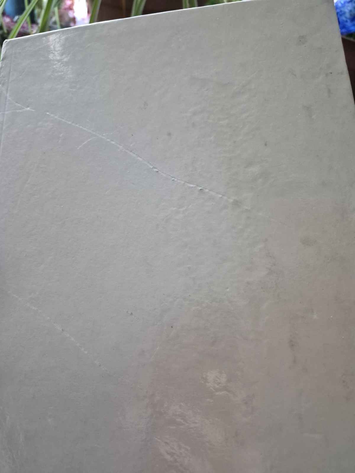 Weapons of The people of Caucasus History of Weapons Book