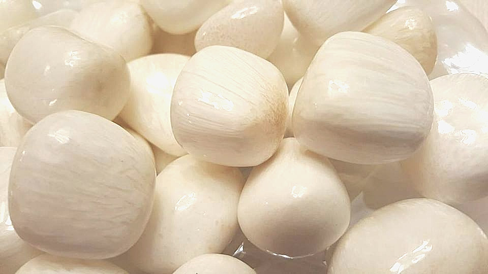 Scolecite
