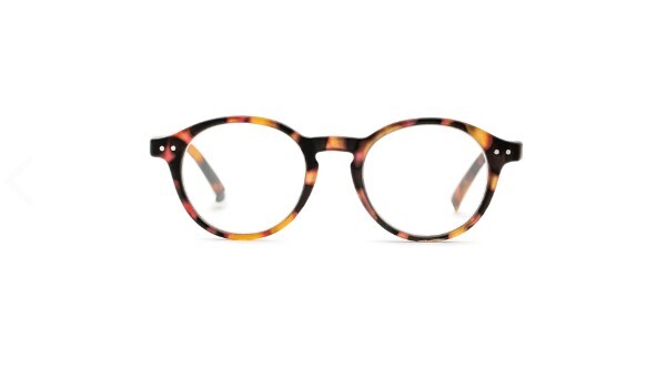 Foster Grant EZ2C Reading Glasses with Case PARKER TOR