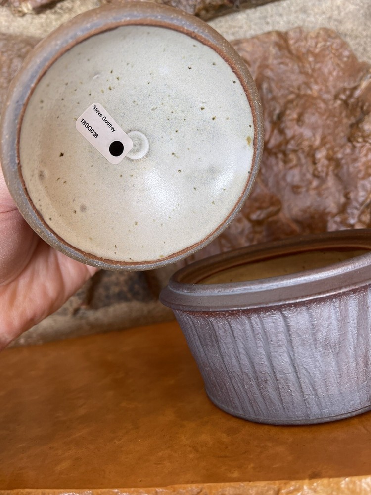 Mint Steven Godfrey Bird Salt/Sugar Cellar Jar