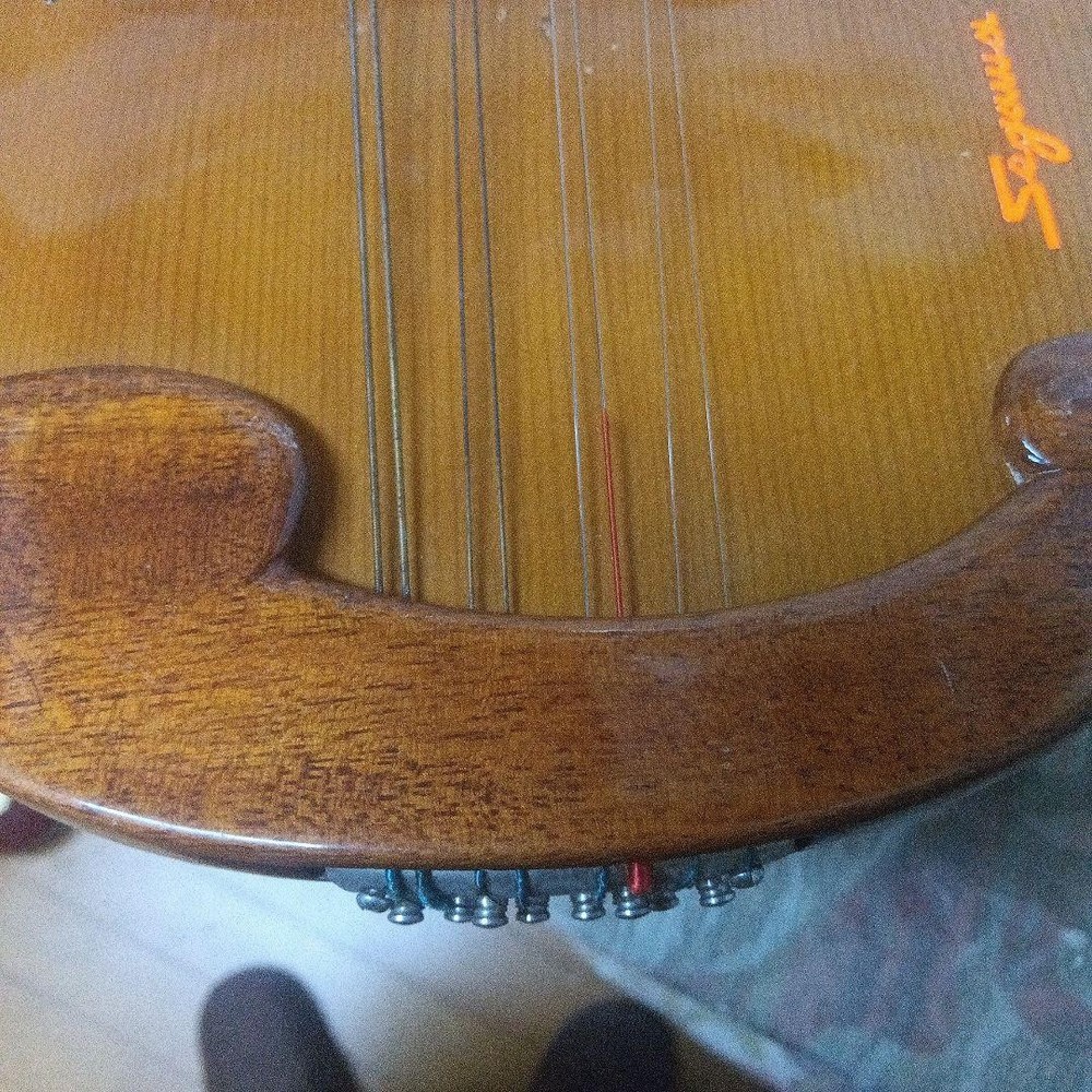 Mandolin body