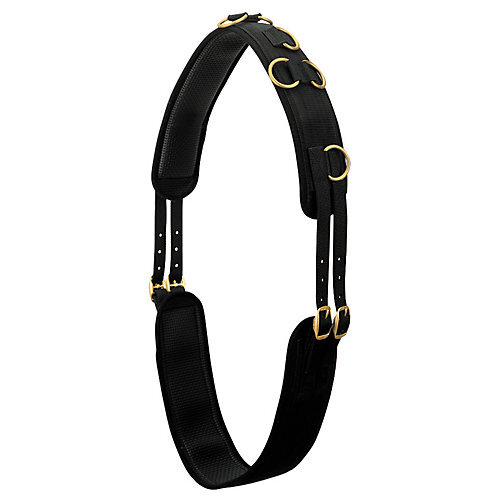 Weaver Leather Weaver 10-Ring Neoprene Lined Nylon Surcingle