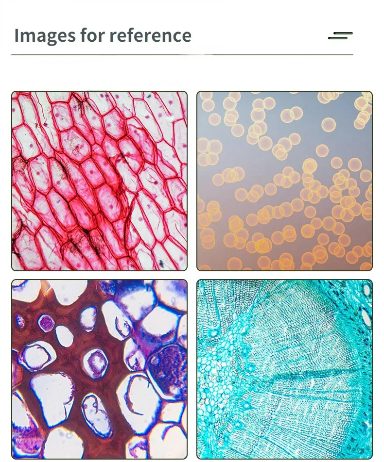 2.5X-100X Infinity Metallographic Biological Microscope Objective Lens RMS Plan