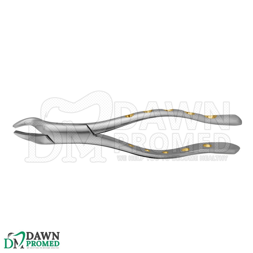 Dental Extracting Forceps #53L Gold Hollow Python Grip Handle German Grade
