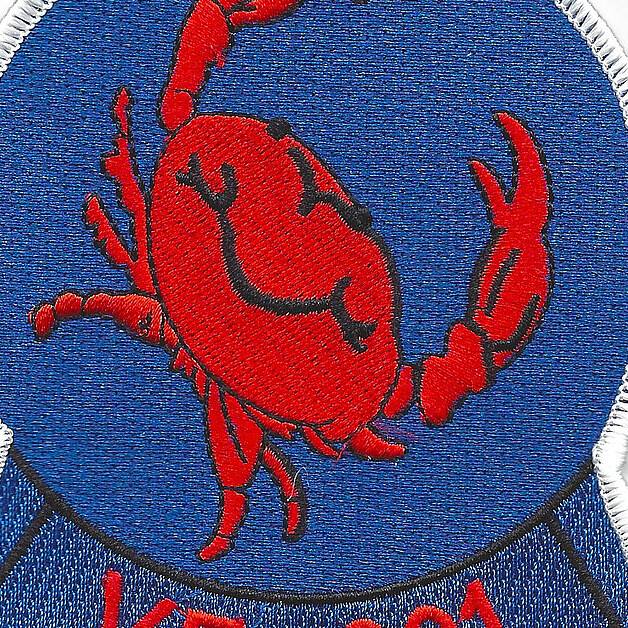 VF-901 Naval Reserve Squadron Patch