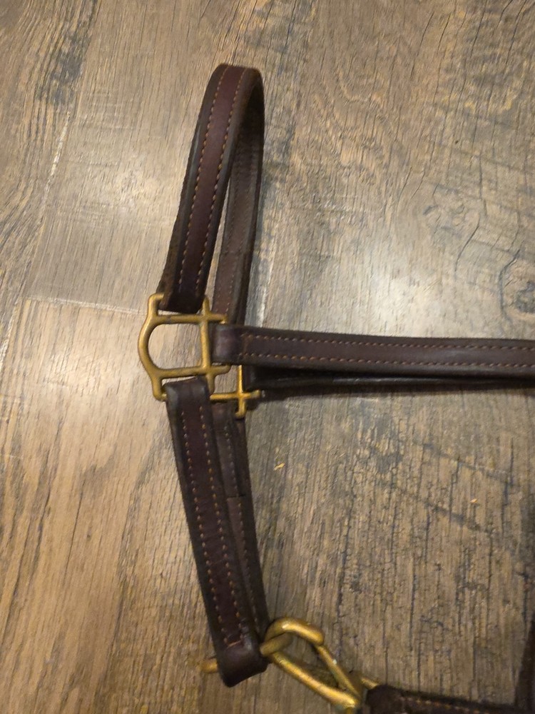 Leather Halter Cob
