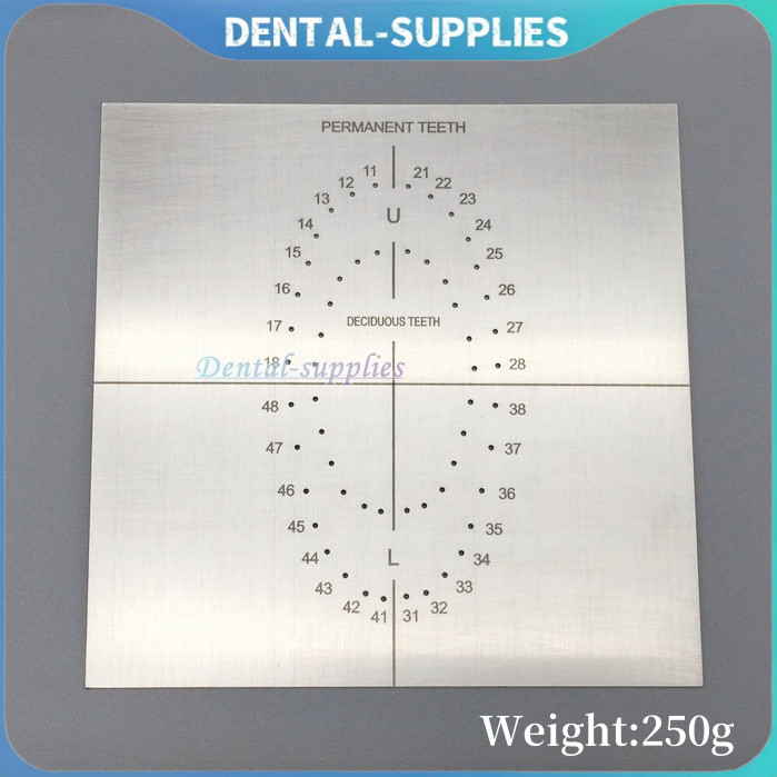 Dental Rubber Dam Punch Template