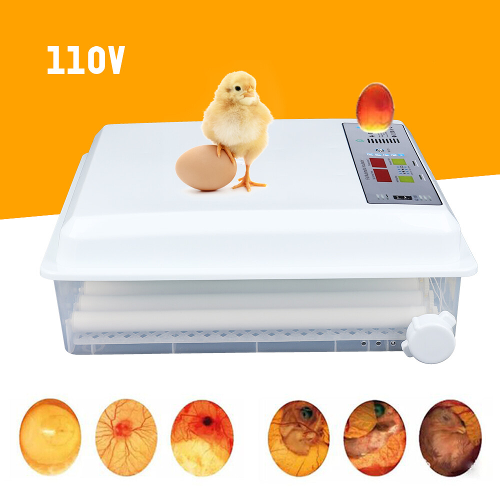 64 Eggs Egg Incubator Fully Digital Automatic Hatcher Fit Hatching Chicken Farm