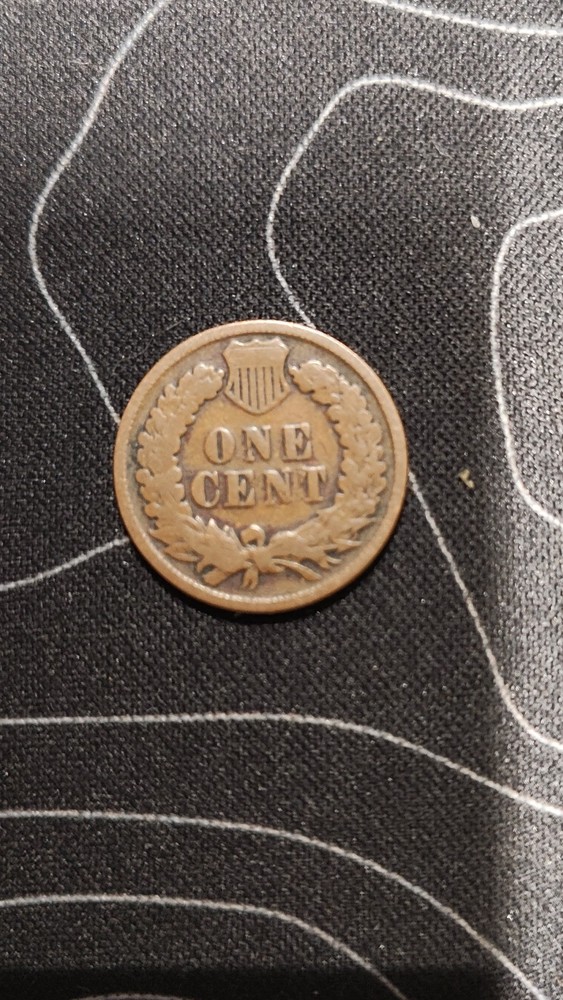 Indian Head Coin 1896 #18