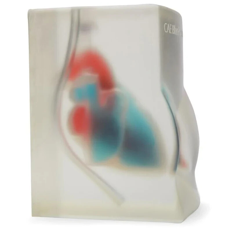 Cardiac Echo Ultrasound Training Model