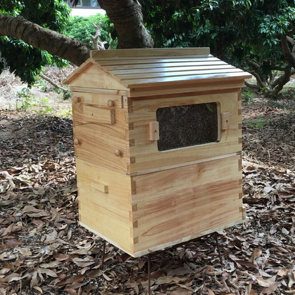 Golden Palace Auto 7PCS Beehive Honey Hive Frame +Cedarwood Beekeeping Brood Box