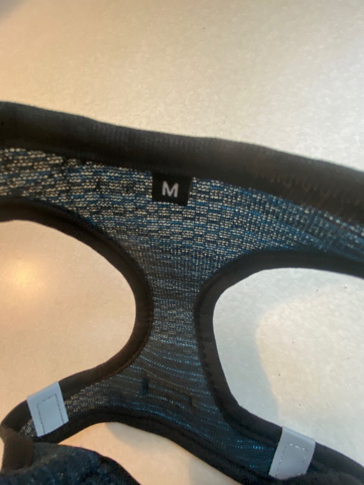 Mesh Blue/Blk Medium Harness And Black Nylon Leash