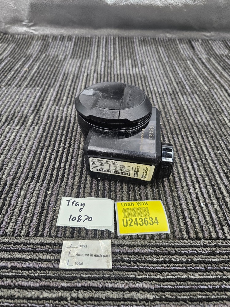NEPTUNE RW2G13: R900 v4 Digital Water Meter E-Coder R900M