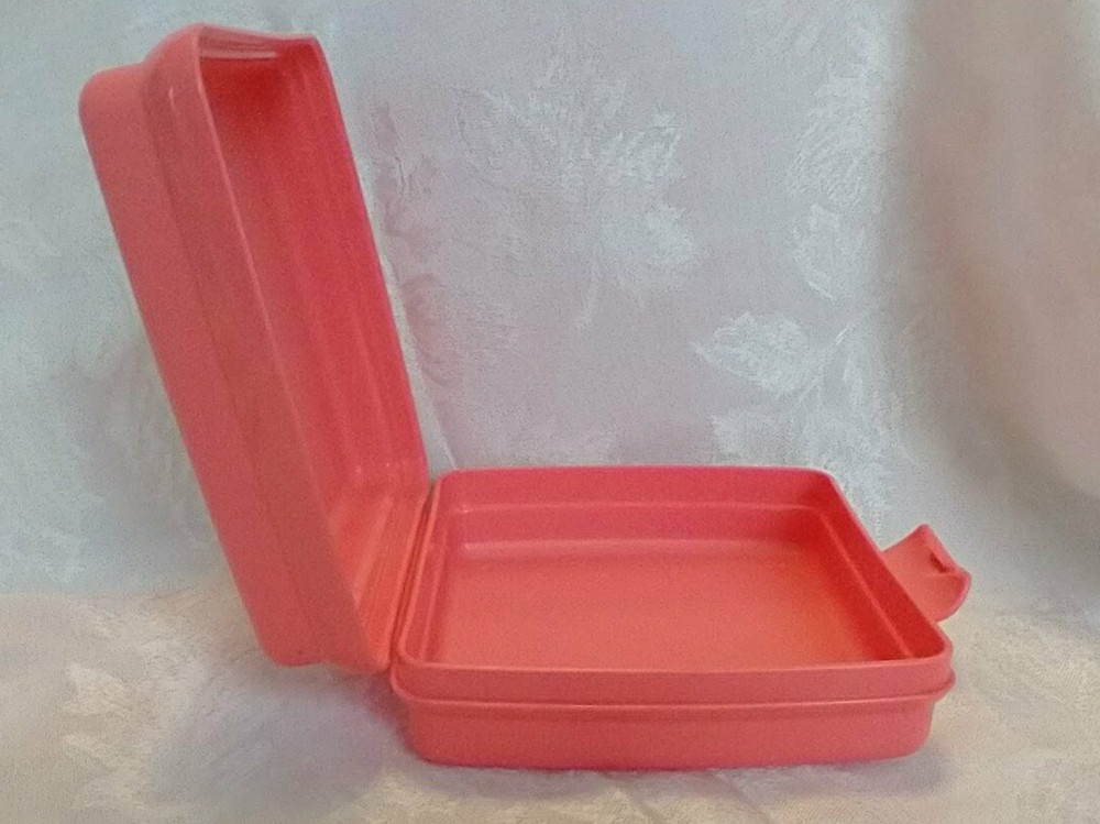 Tupperware Sandwich Keeper Storage Container Hinged Lid Large Clasp Guava New