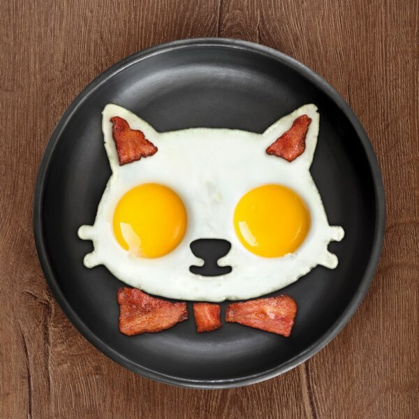 Fred Funny Side Up Kitty Cat Egg Mold #5186522 NEW