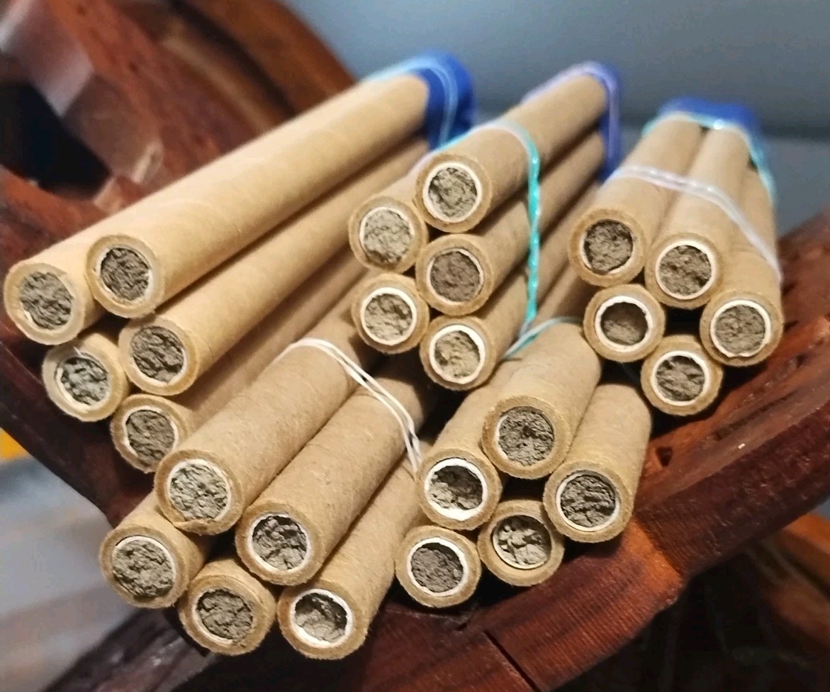 GARDENER GIFT! 5 Tubes LIVE 2025 BLUE ORCHARD MASON BEES COCOONS Spring Emerge