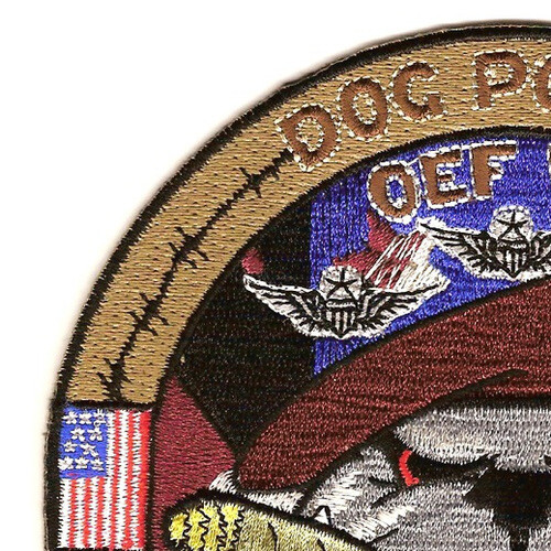 2nd Squadron 82nd Aviation Regiment D Company Patch