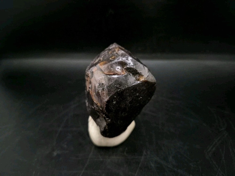 Real Fossil Dinosaur Egg Opalized