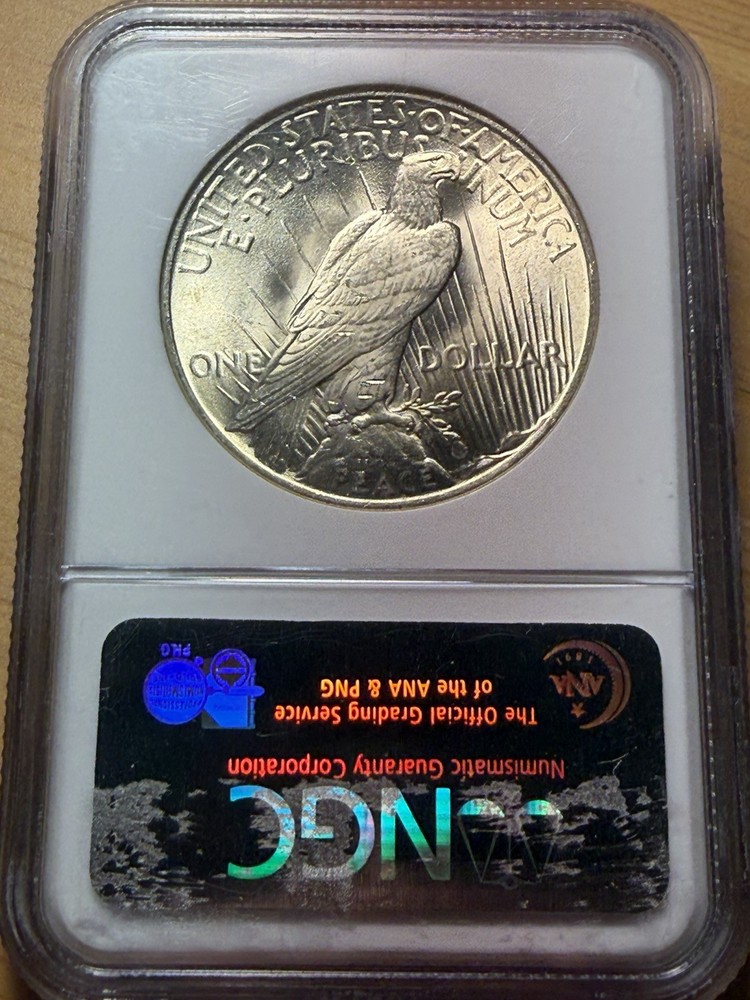 1925 Peace Dollar - NGC MS64 - PQ Gem - As Shown!