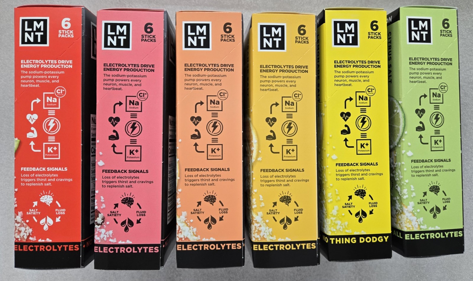 LMNT Zero-Sugar Electrolytes Drink Variety 36 Pack 6 Flavors Non-Caffeinated