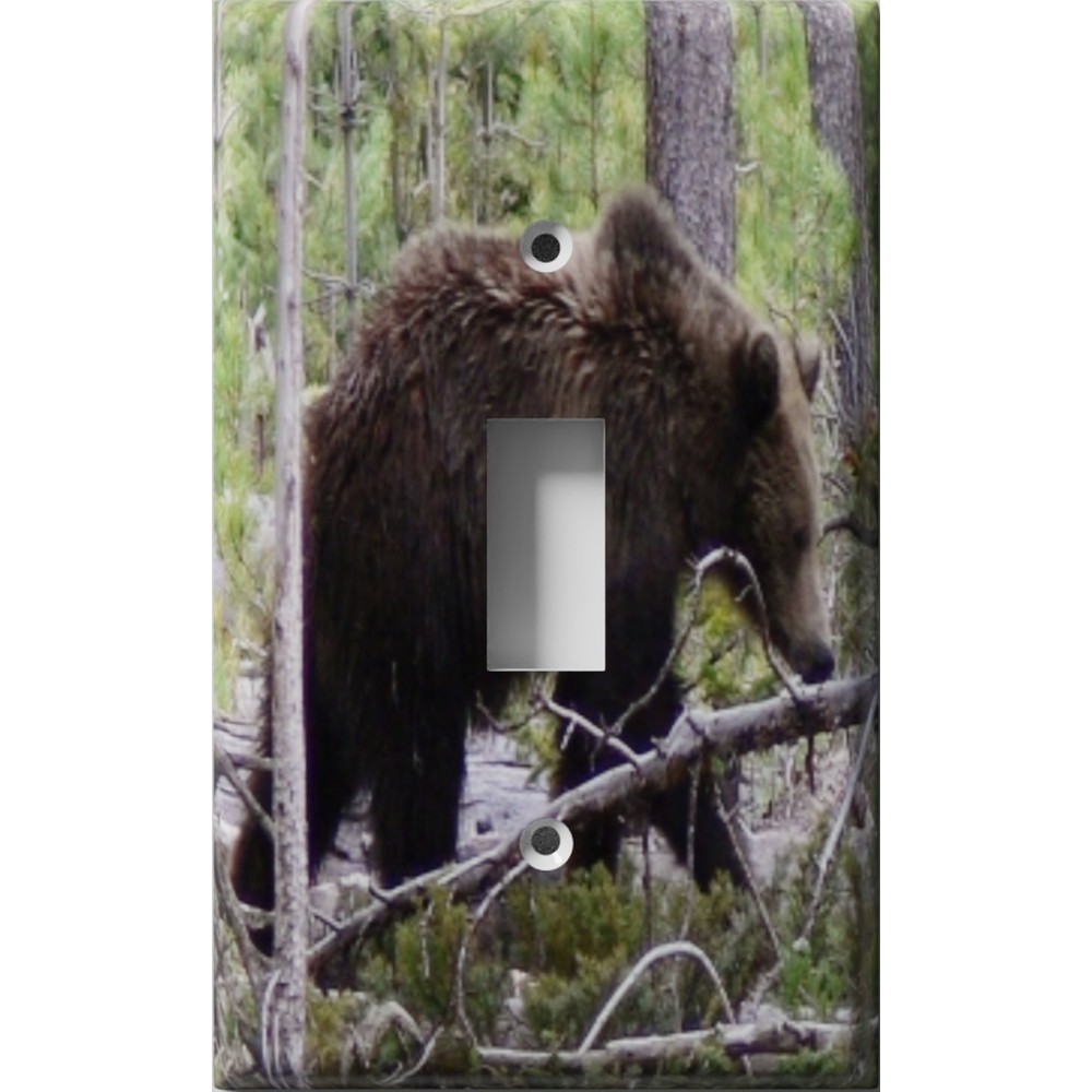 Roaming Bear Decorative Light Switch Plate Cover Outlet Wall Plate
