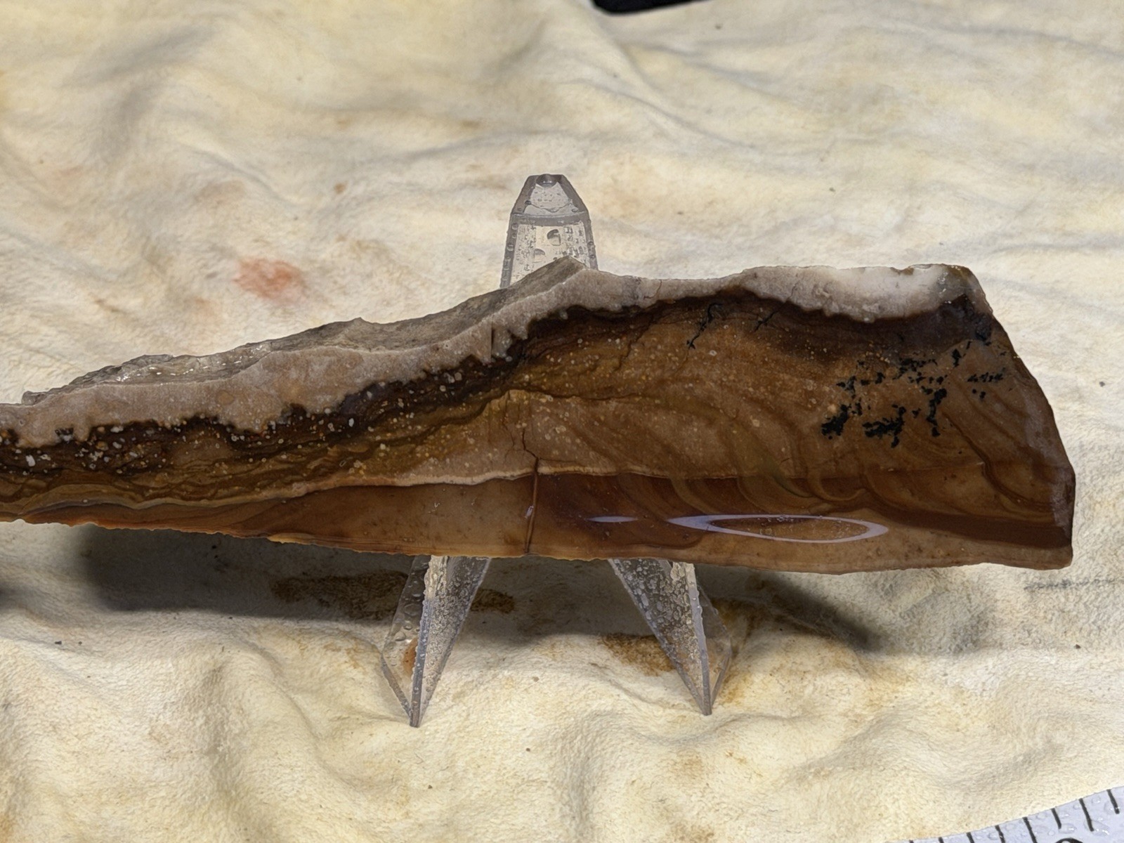 Dendritic Biggs Jasper Slab Set, Lot #307