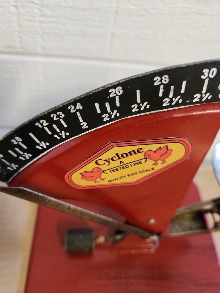 Reproduction Cyclone Eggs Scale