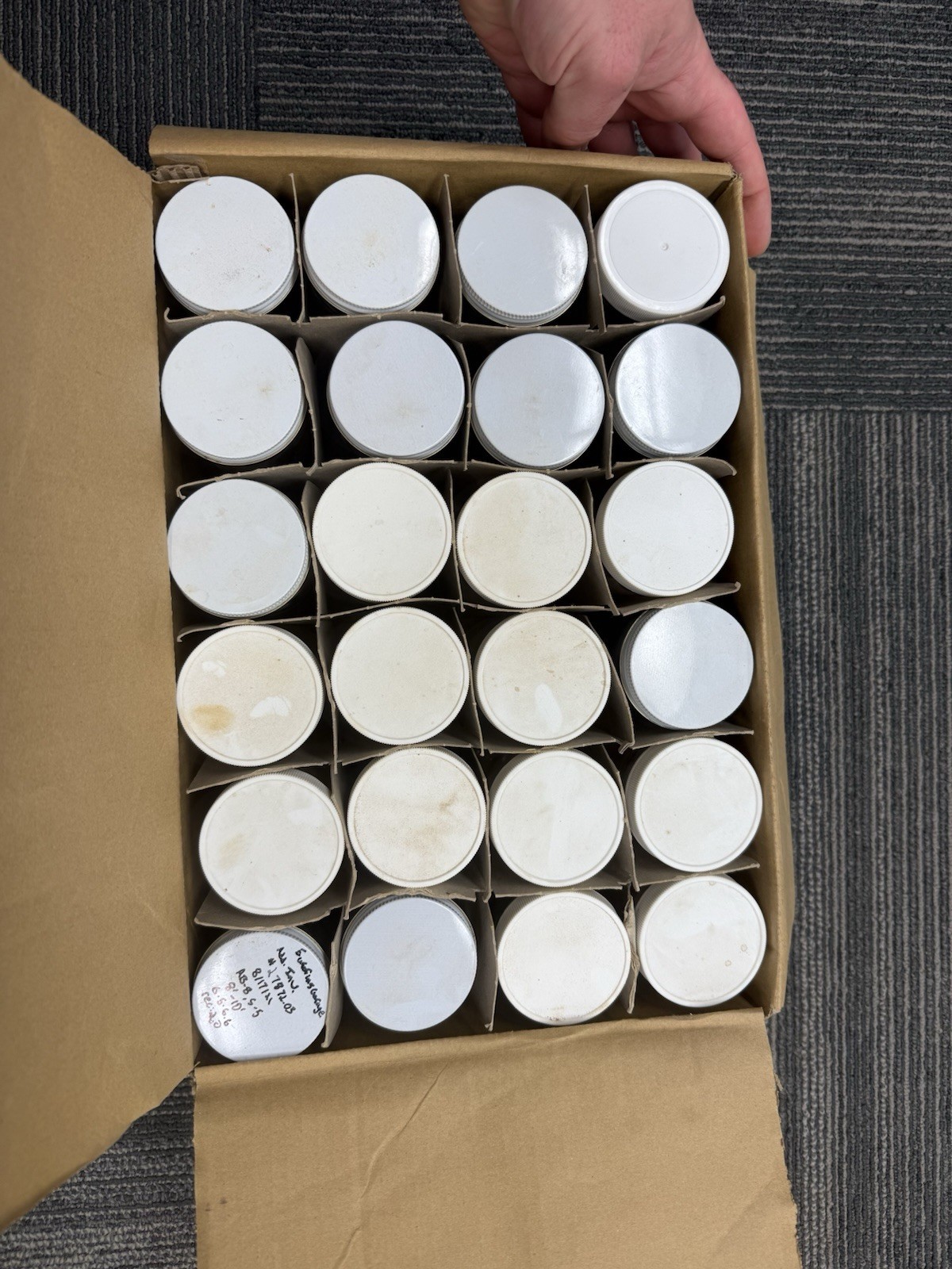 Used 220 ML / 7.4 Oz Sample Jars With Lids Cosmetics Crafts Hobbies Clear Glass