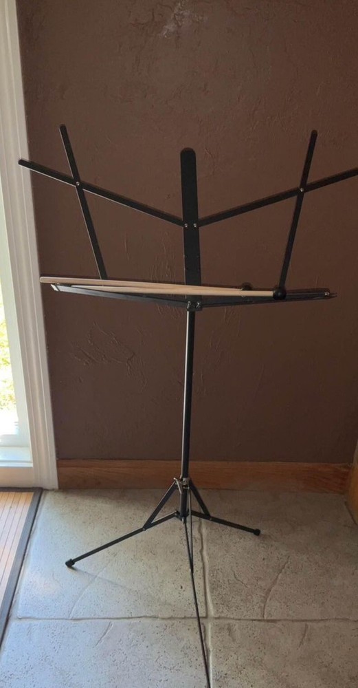 Percussion percussion xylophone