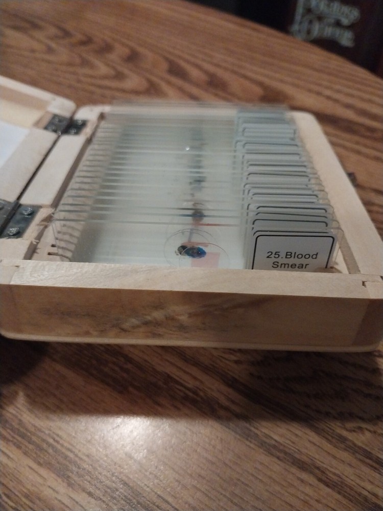 Celestron No.44410 Prepared Microscope Slides (25-Piece Set) New