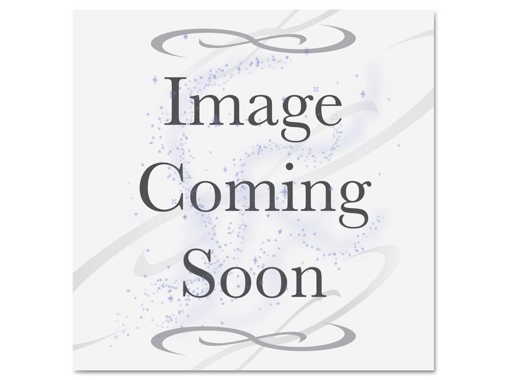 SCR-300 Smart Card Reader USB SCR300