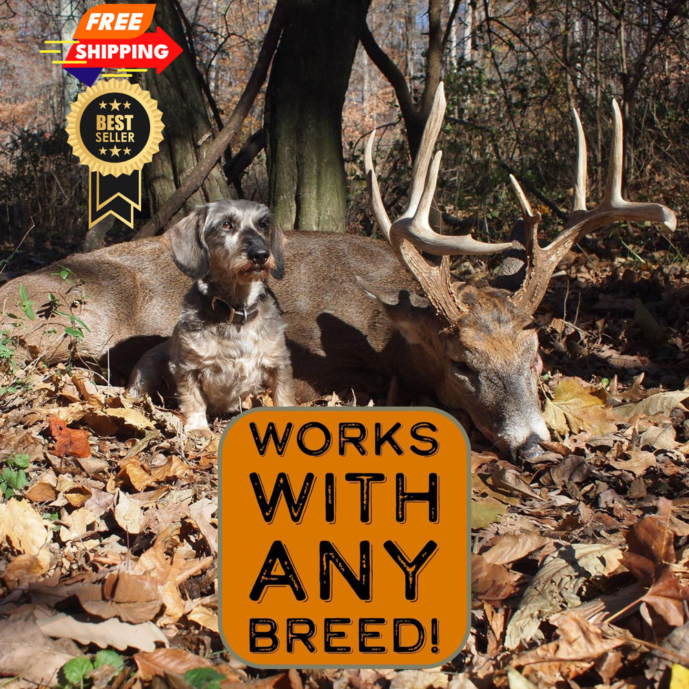 DogBone BloodTrail Scent for Tracking Dog Training | Kit |...