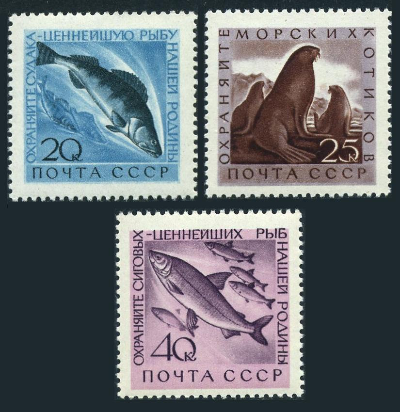 Russia 2375-2377, MNH. Michel 2385-2387. Pikepearsh, Fur seals, Whitefish. 1960.